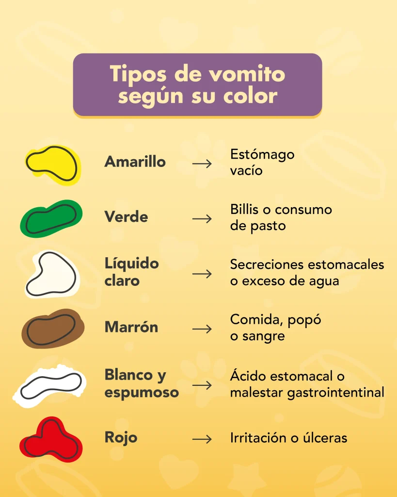 POST perros vomito B